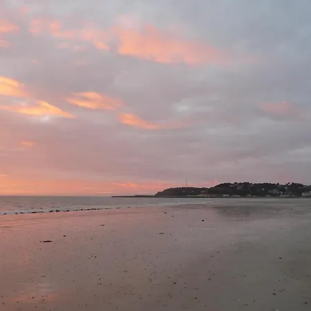 Les Des Des Isles *